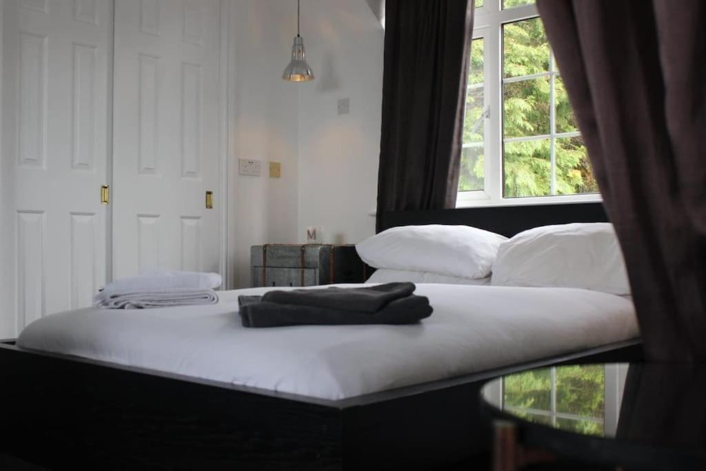 Gorgeous Annex Near Port Isaac Apartment Bodmin Exterior photo